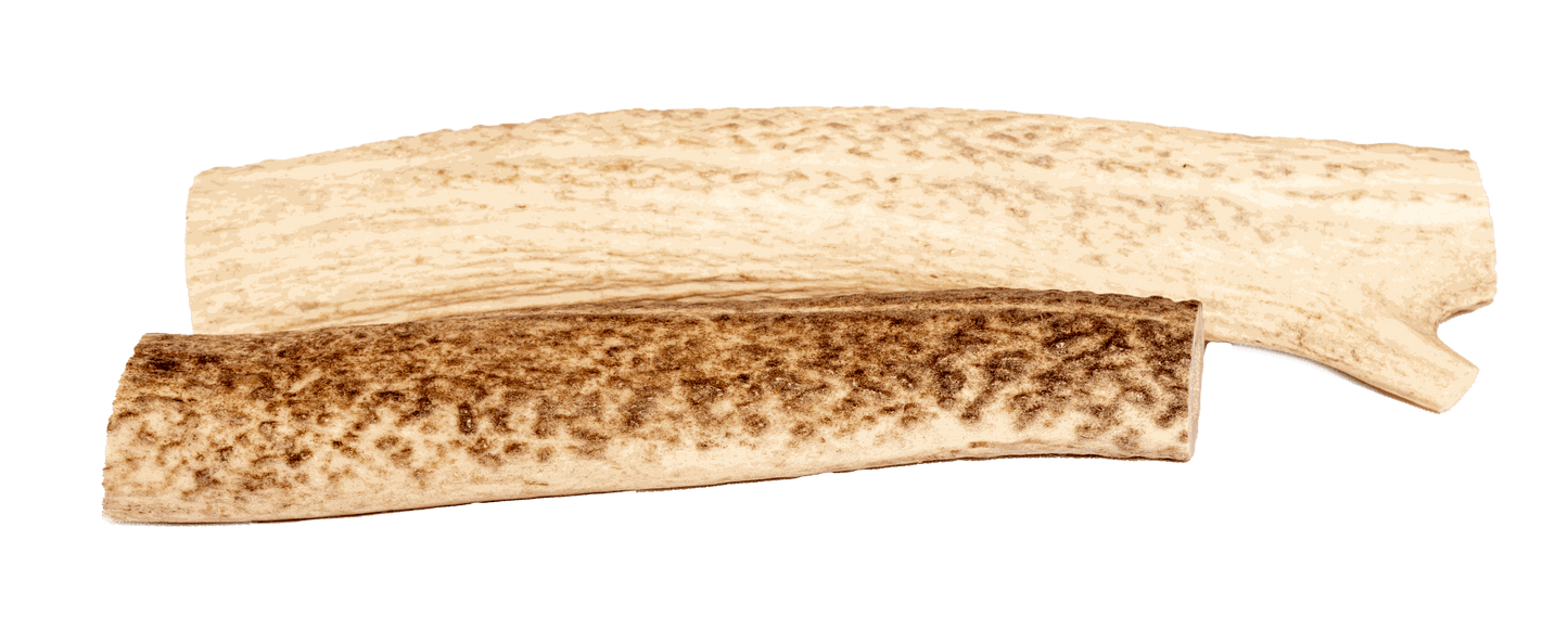 Naturally shed elk antlers for dogs, durable and mess-free chew toy.