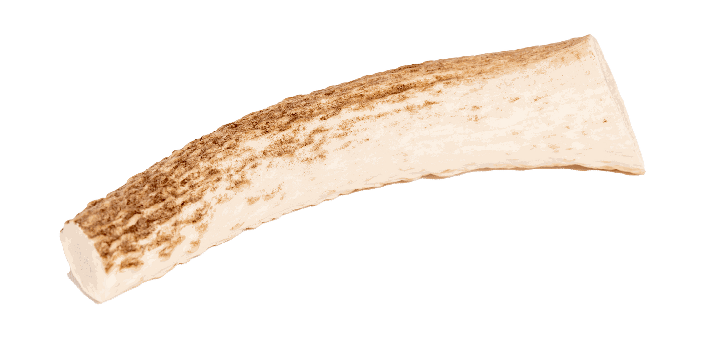 Elk Antler for dogs, long-lasting and natural chew toy.