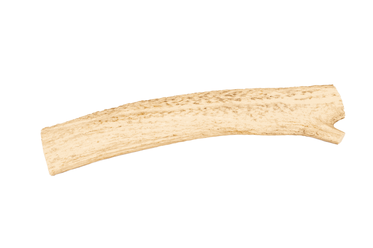 Natural shed elk antler, durable chew for dogs, mess-free.