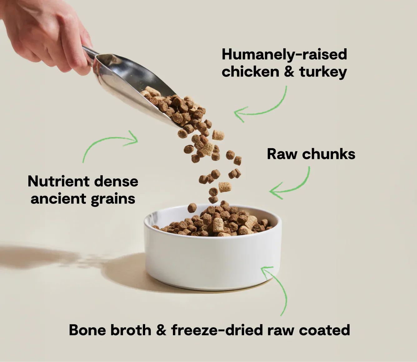 RawMix Open Prairie dog kibble with humanely-raised chicken and turkey, ancient grains, raw chunks, and bone broth freeze-dried coating