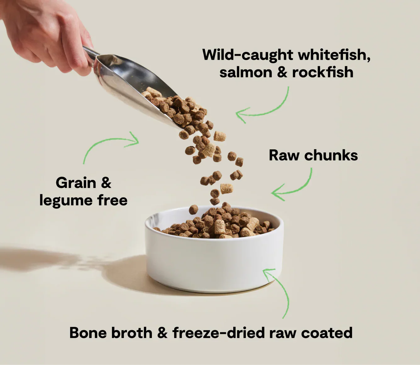 RawMix Wild Ocean grain-free dog kibble with wild-caught fish, raw chunks, bone broth, and freeze-dried coating