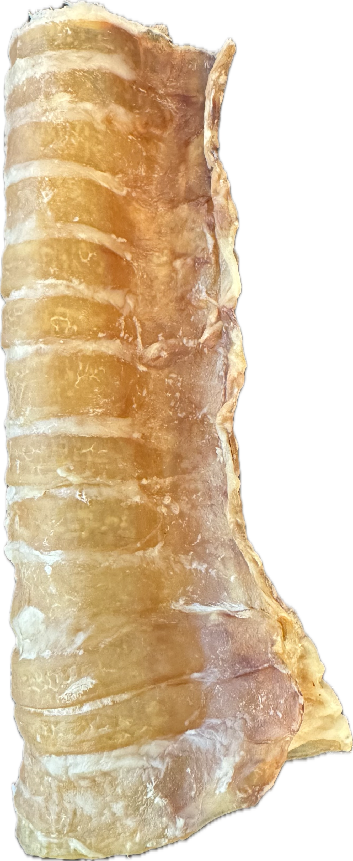Dried beef trachea dog chew treat for joint support.