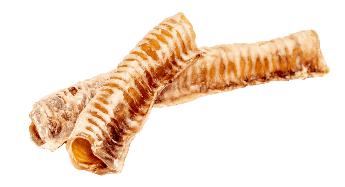Beef trachea dog chew with a pale tan, dried cartilage tube, ridged texture, and hollow open ends.