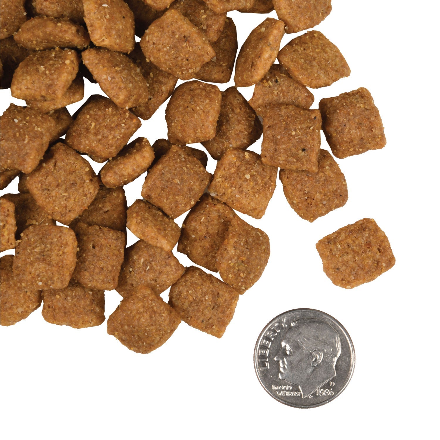 Close-up of GOLD ADULT dog food kibbles next to a dime for size comparison, nutritious 30 lb package for active adult dogs