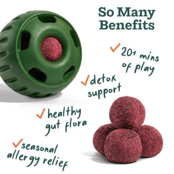 Calming vitamin pops for dogs with seasonal allergy relief and immune support benefits.