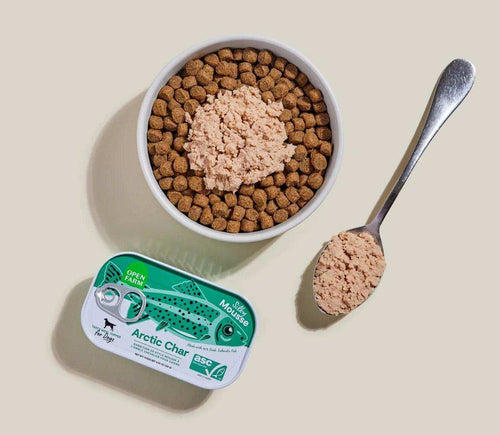 Arctic Char Topper for Dogs-Dry Supplement-Open Farm-DFW Raw Dog Food