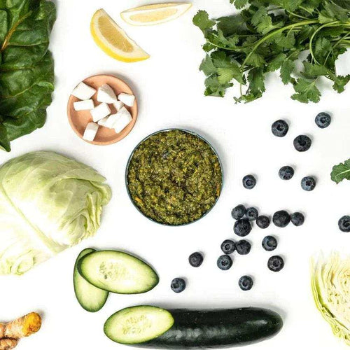 Bailey’s Blend frozen vegetable dog and cat food topper with organic greens, turmeric, turkey bone broth, blueberries, cucumber, and lemon for gut health and inflammation support
