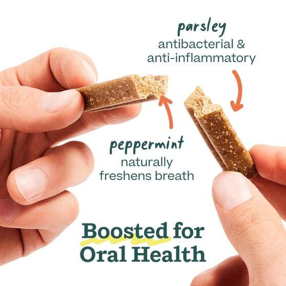 Bite n' Brush Dental Refills with peppermint and parsley for oral health.