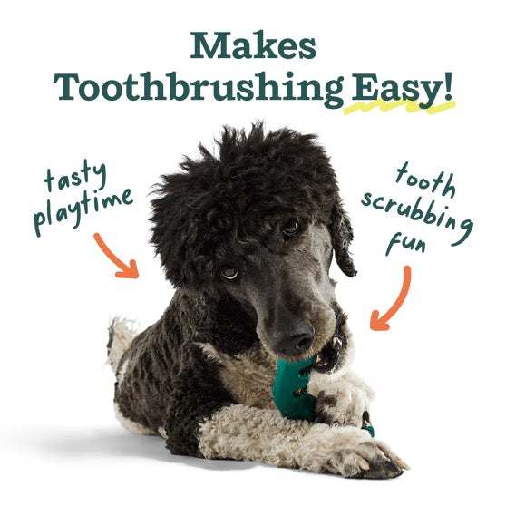 Best dog toothbrush for tasty playtime and tooth scrubbing fun.