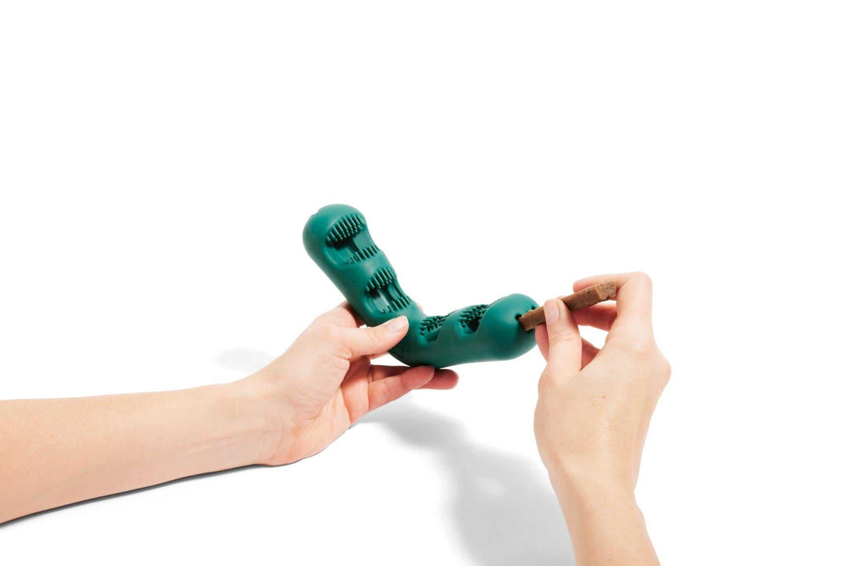 Dog dental chew toy, teal rubber Bite n’ Brush with raised bristles and a treat inserted between its prongs.