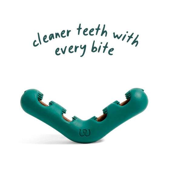 V-shaped dog dental chew toy with bristles for cleaner teeth with every bite.