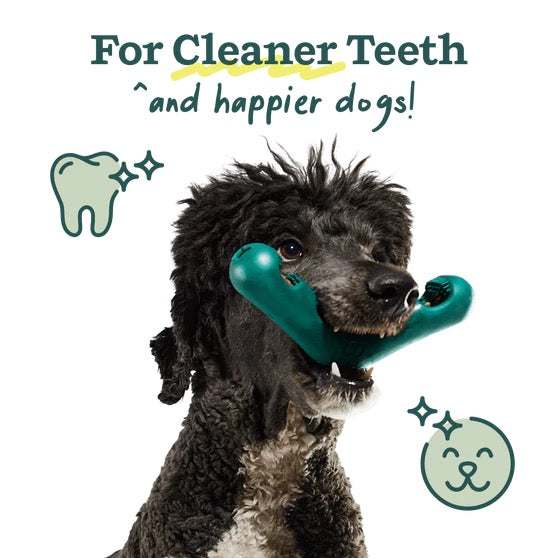 Dog using Bite n' Brush dental chew for cleaner teeth.