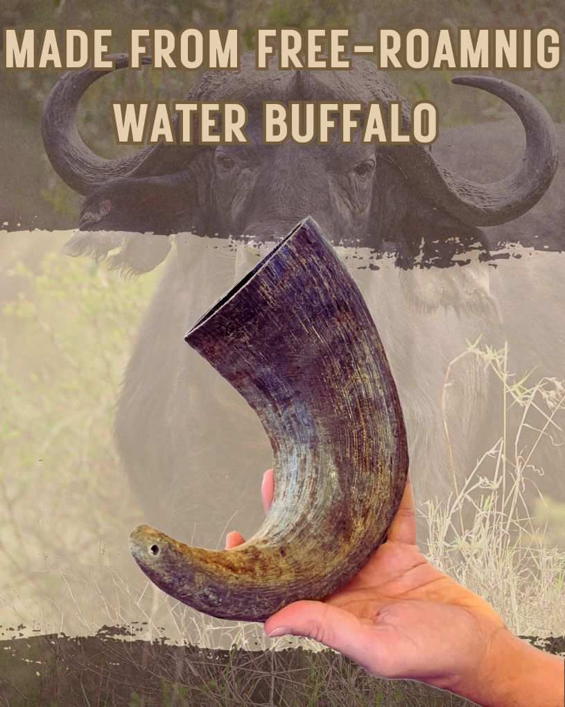 Natural buffalo horn chew for dogs made from free-roaming water buffalo