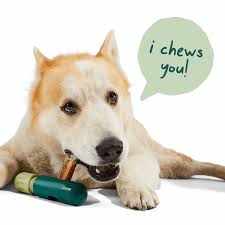 Dog using BullySafe chew holder for safe and extended playtime.