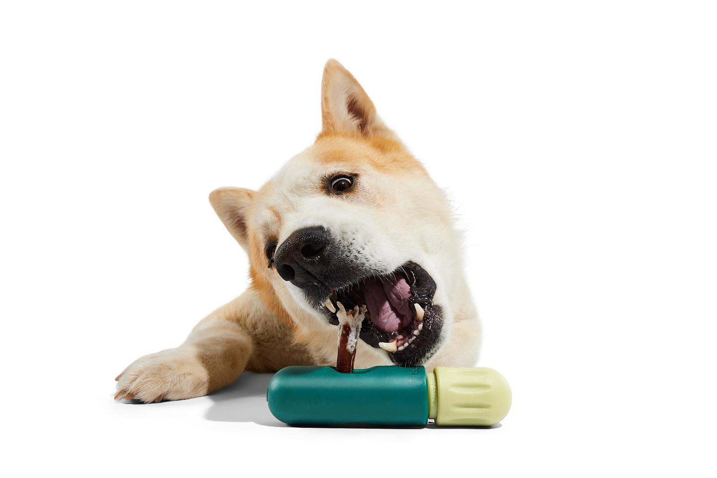 Dog enjoying a chew with the BullySafe holder, designed for safer and longer lasting play.