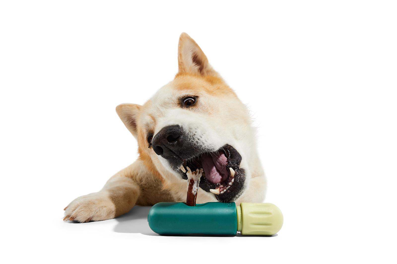 Dog enjoying a chew with the BullySafe holder, designed for safer and longer lasting play.
