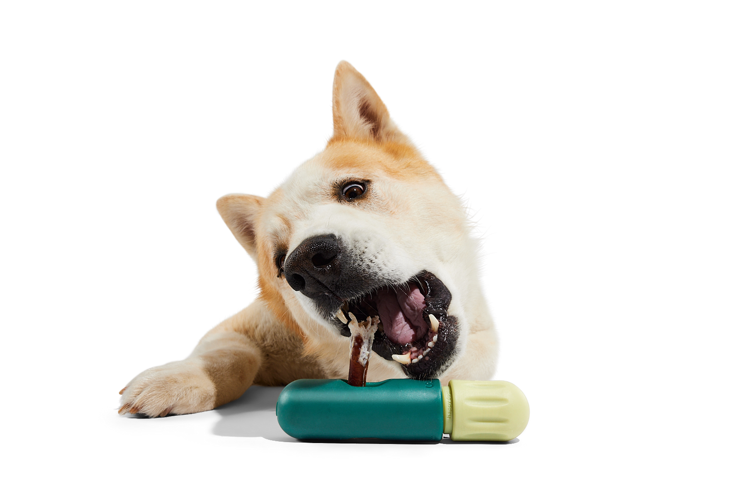 Dog enjoying a chew with the BullySafe holder, designed for safer and longer lasting play.