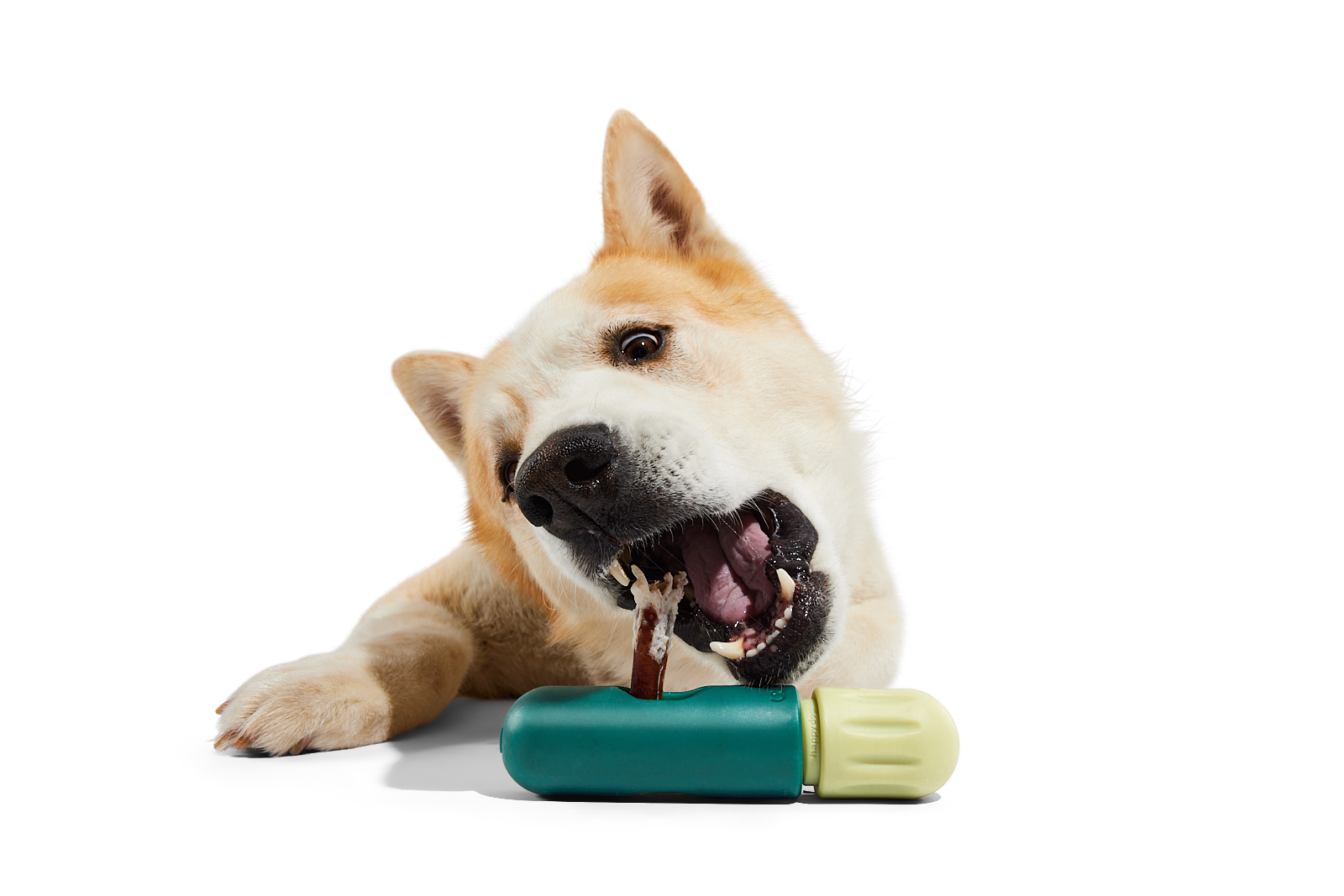 Dog enjoying a chew with the BullySafe holder, designed for safer and longer lasting play.