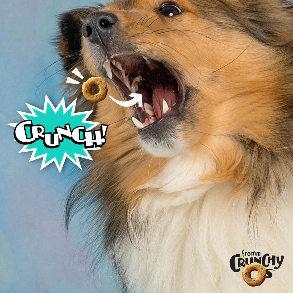 Dog catching CRUNCH O's Banana Kablammas treat with "Crunch!" graphic; perfect for all breeds.