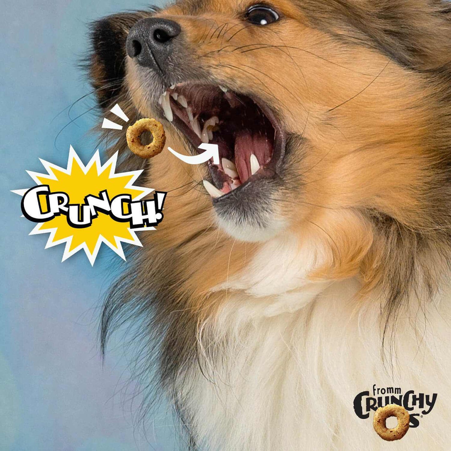 Dog catching CRUNCH O's Blueberry Blasts treat mid-air, with a vibrant "crunch" graphic.