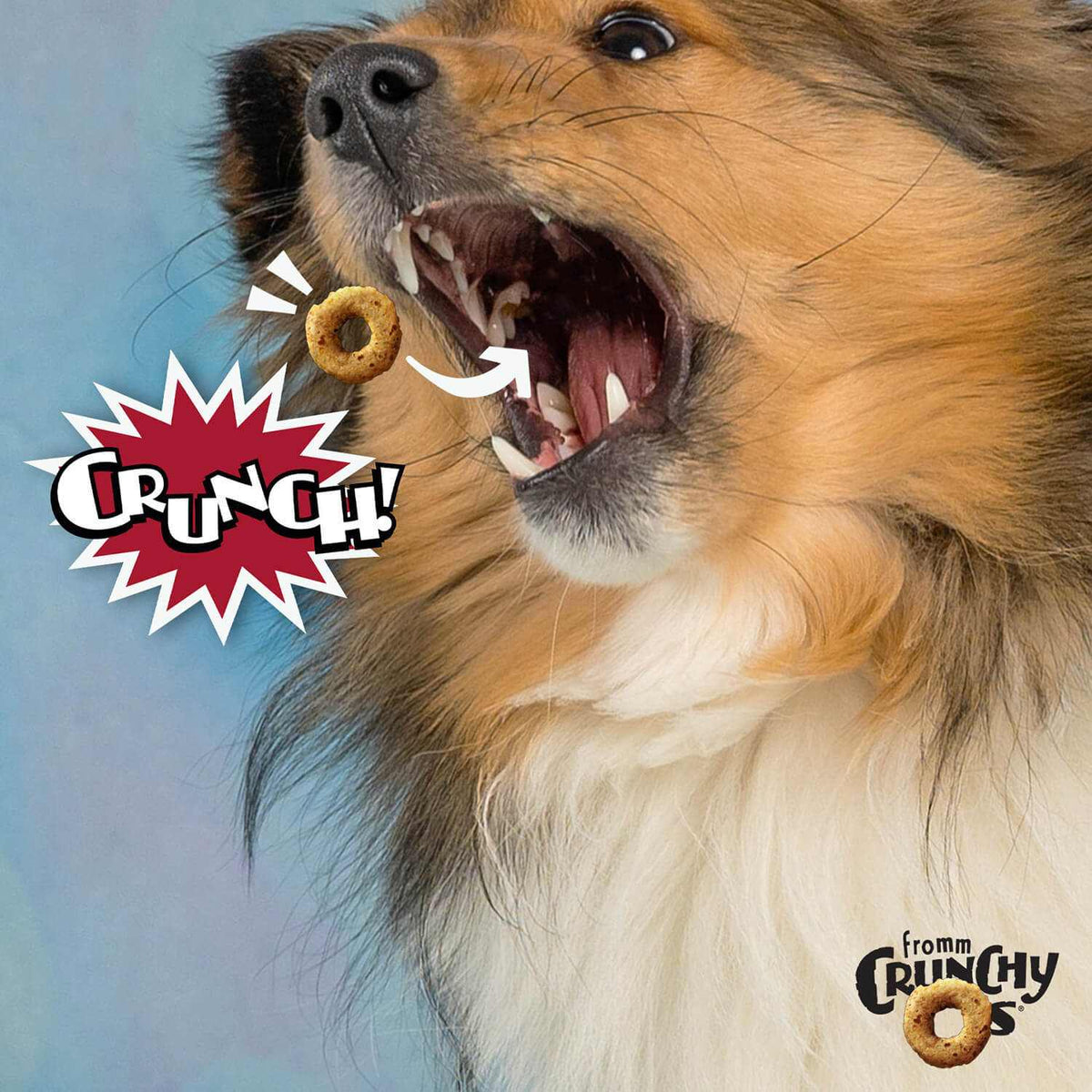 Dog eagerly catching CRUNCH O's Pot Roast Punchers treat in mid-air with a vibrant crunch graphic.