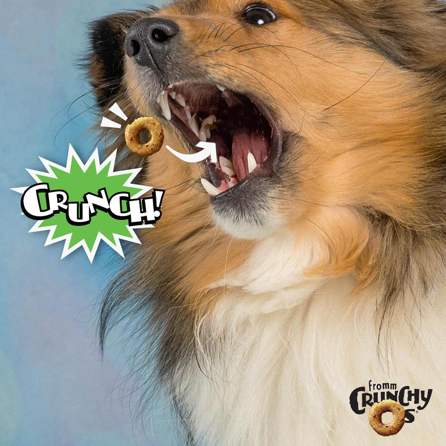 Dog eagerly catching crunchy "CRUNCH O's Pumpkin Kran Pow" treat in mid-air.