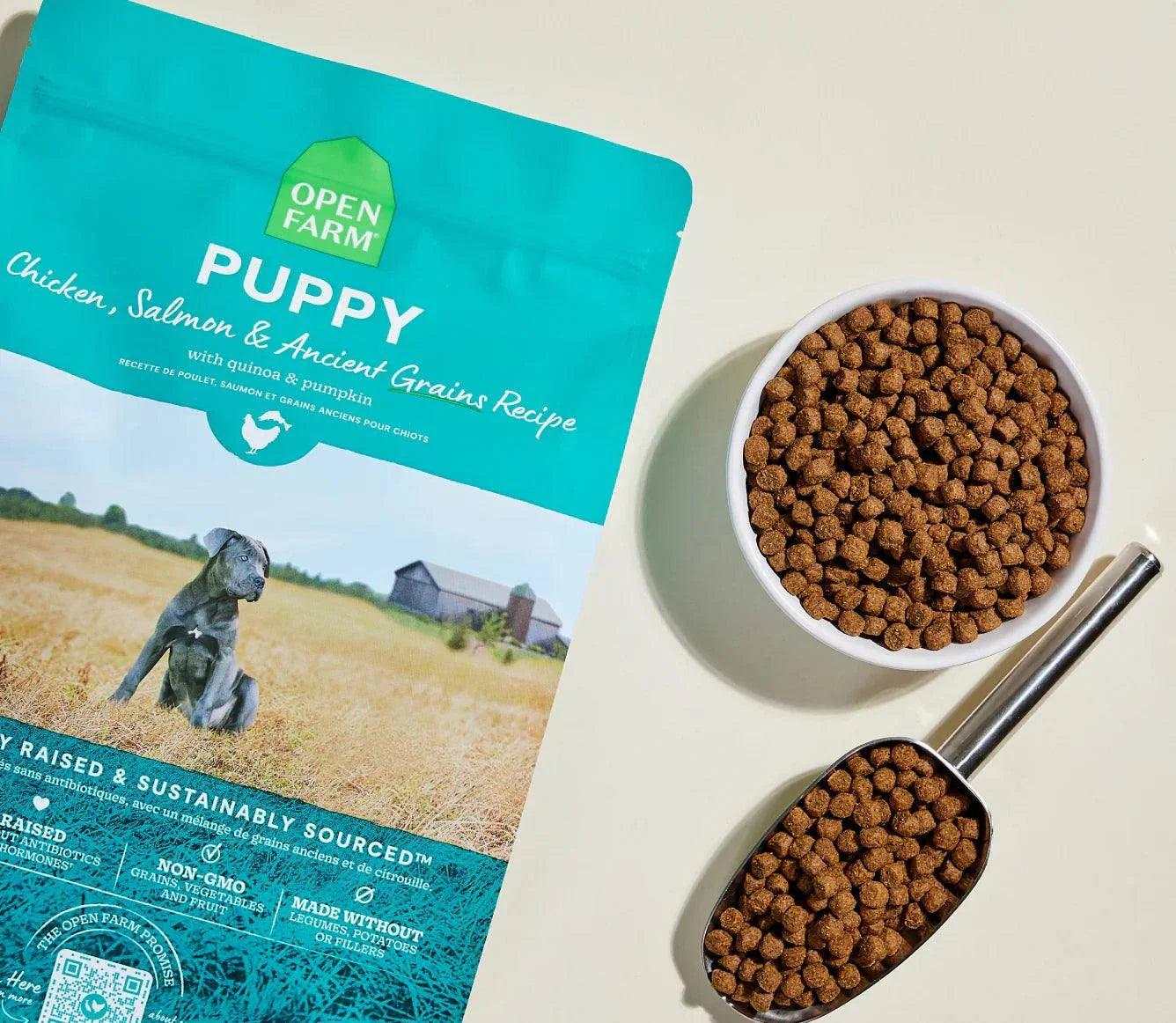 Open Farm Puppy Chicken, Salmon & Ancient Grains high-protein kibble with quinoa and pumpkin, shown with a bowl and scoop of dry puppy food.
