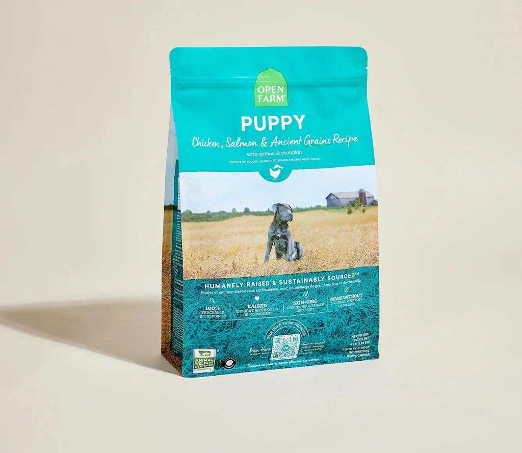 Puppy kibble bag in teal and brown with a dog image, labeled Ancient Grains High-Protein Puppy Food featuring chicken and salmon recipe