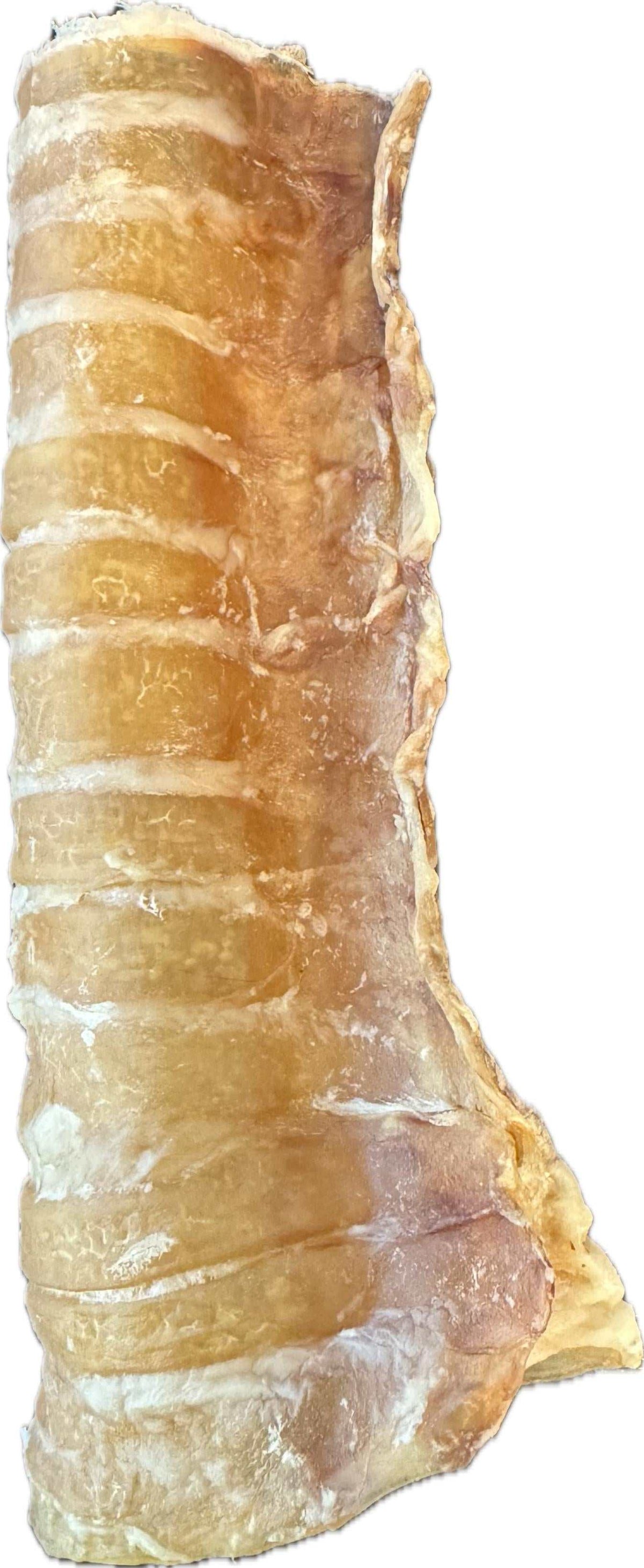 Beef Trachea dog chew, dried golden-brown natural meat with visible ridged cartilage and a curved tubular shape.