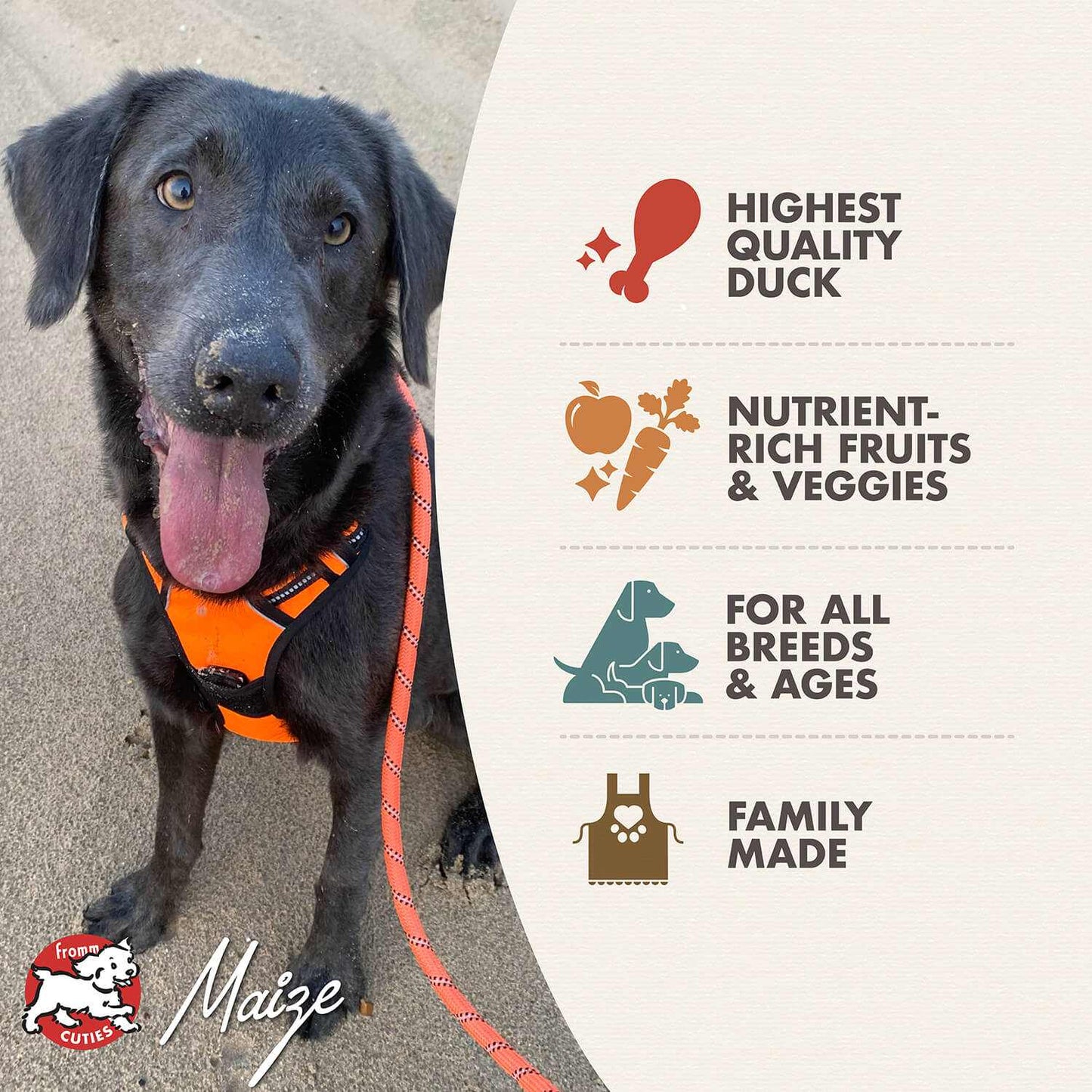 Dog wearing orange harness next to product benefits of Four-Star Duck A La Veg dog food with highest quality duck, nutrient-rich fruits and veggies, suitable for all breeds and ages, family made