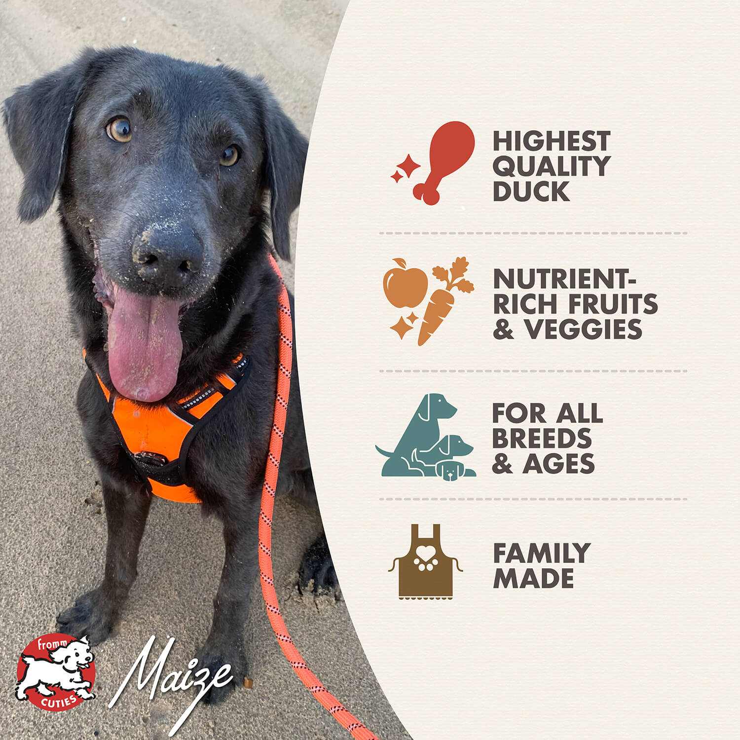 Dog wearing orange harness next to product benefits of Four-Star Duck A La Veg dog food with highest quality duck, nutrient-rich fruits and veggies, suitable for all breeds and ages, family made
