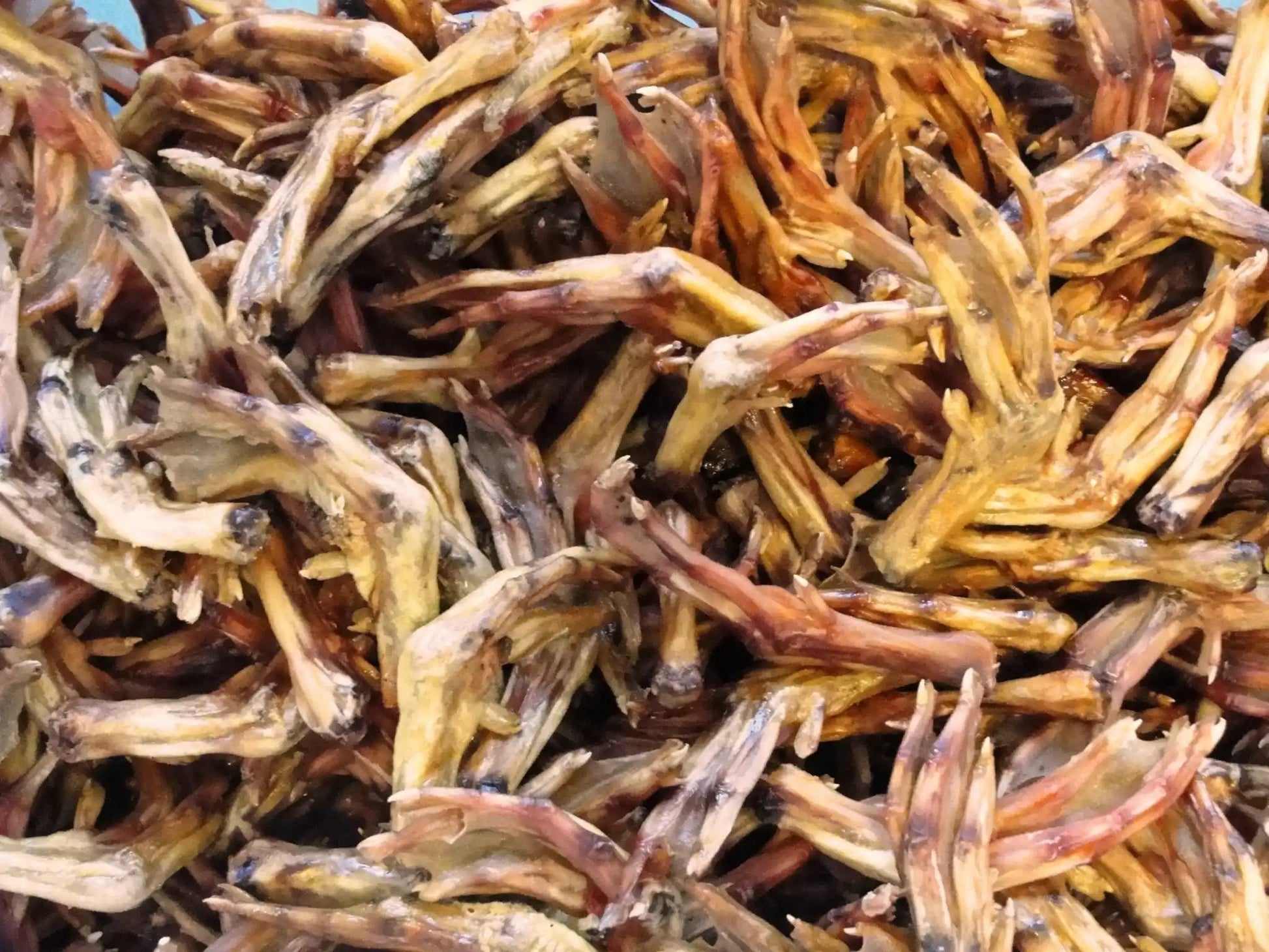 Bulk dried duck feet for dogs, all-natural crunchy chews, 10 lb case.