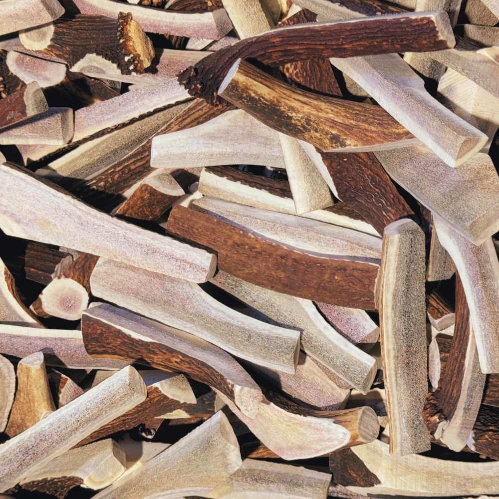 Natural elk antler dog chews, durable and long-lasting, safe and mess-free