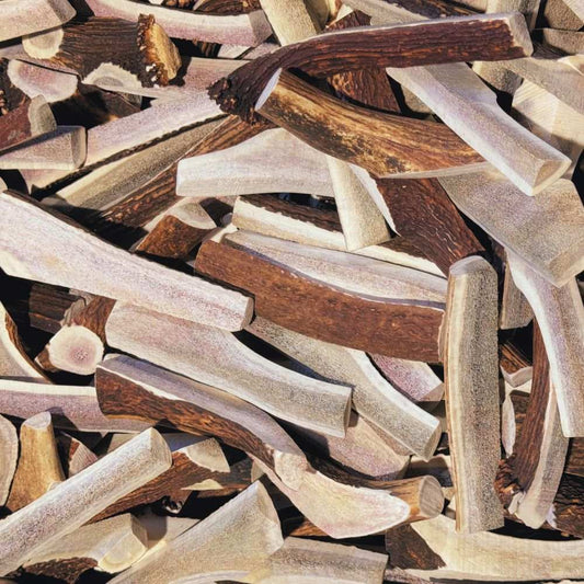 Natural elk antler dog chews, durable and long-lasting, safe and mess-free