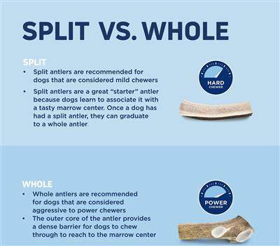 Barkworthies Elk Antler Split infographic comparing split and whole antlers for dog chew suitability.