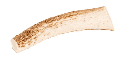 Elk Antler for dogs, long-lasting and natural chew toy.