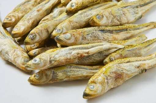 Freeze dried silverside minnows as natural pet treats for dogs and cats.