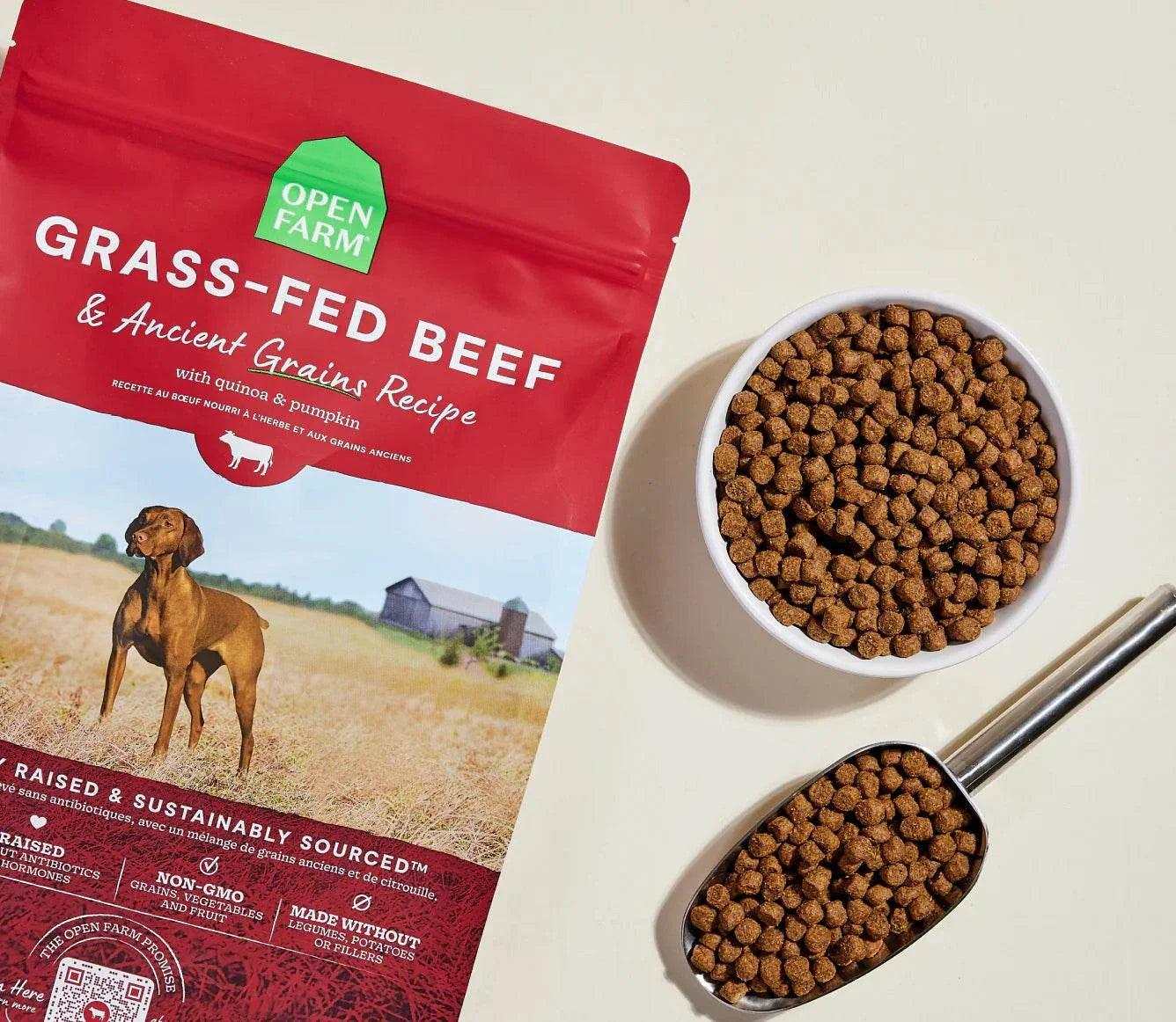 Bag of Open Farm Grass-Fed Beef and Ancient Grains dog kibble with bowl and scoop of kibble.