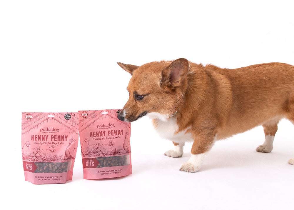 Corgi dog sniffing two pink bags of Henny Penny Chicken & Cranberry training bits crunchy dog treats on white background
