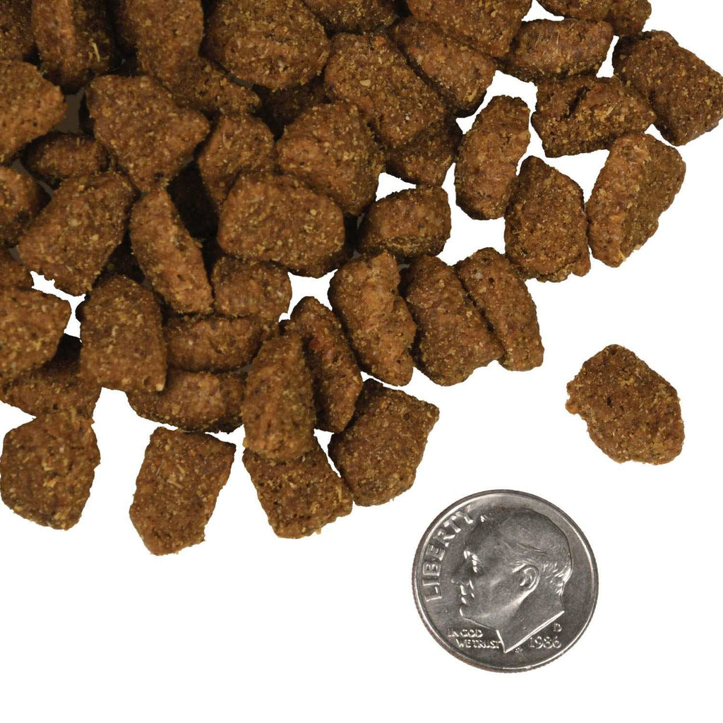 Dry dog food kibble with coarse, irregular brown pieces, featuring a crunchy texture; -Star Beef Oats & Barley recipe.