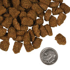 Dry dog food kibble with coarse, irregular brown pieces, featuring a crunchy texture; -Star Beef Oats & Barley recipe.
