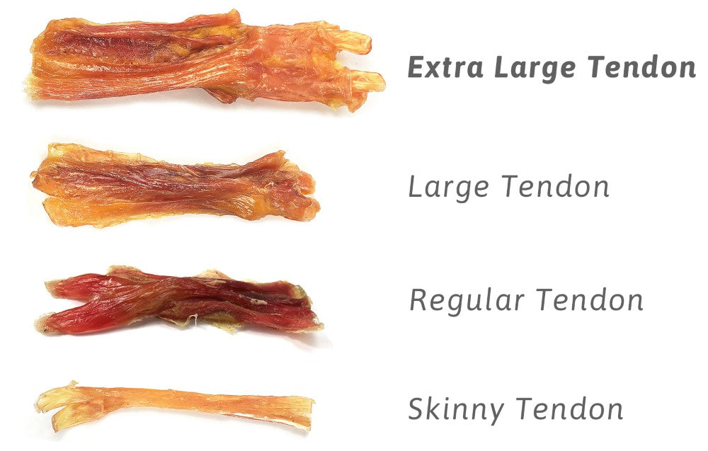 Various sizes of beef tendons including jumbo, large, regular, and skinny tendon chews for dogs