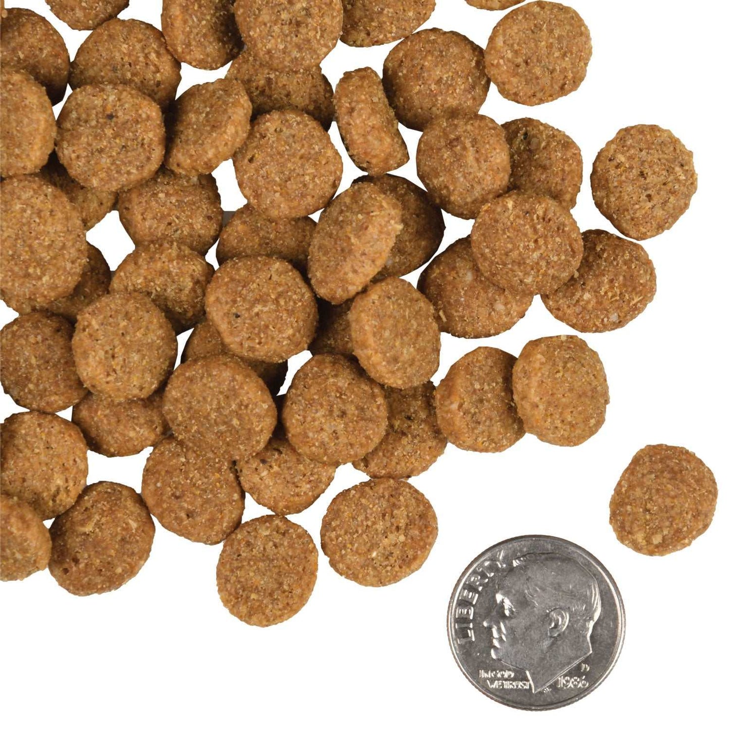 Gold Large Breed Adult dog food kibbles with US dime for size comparison