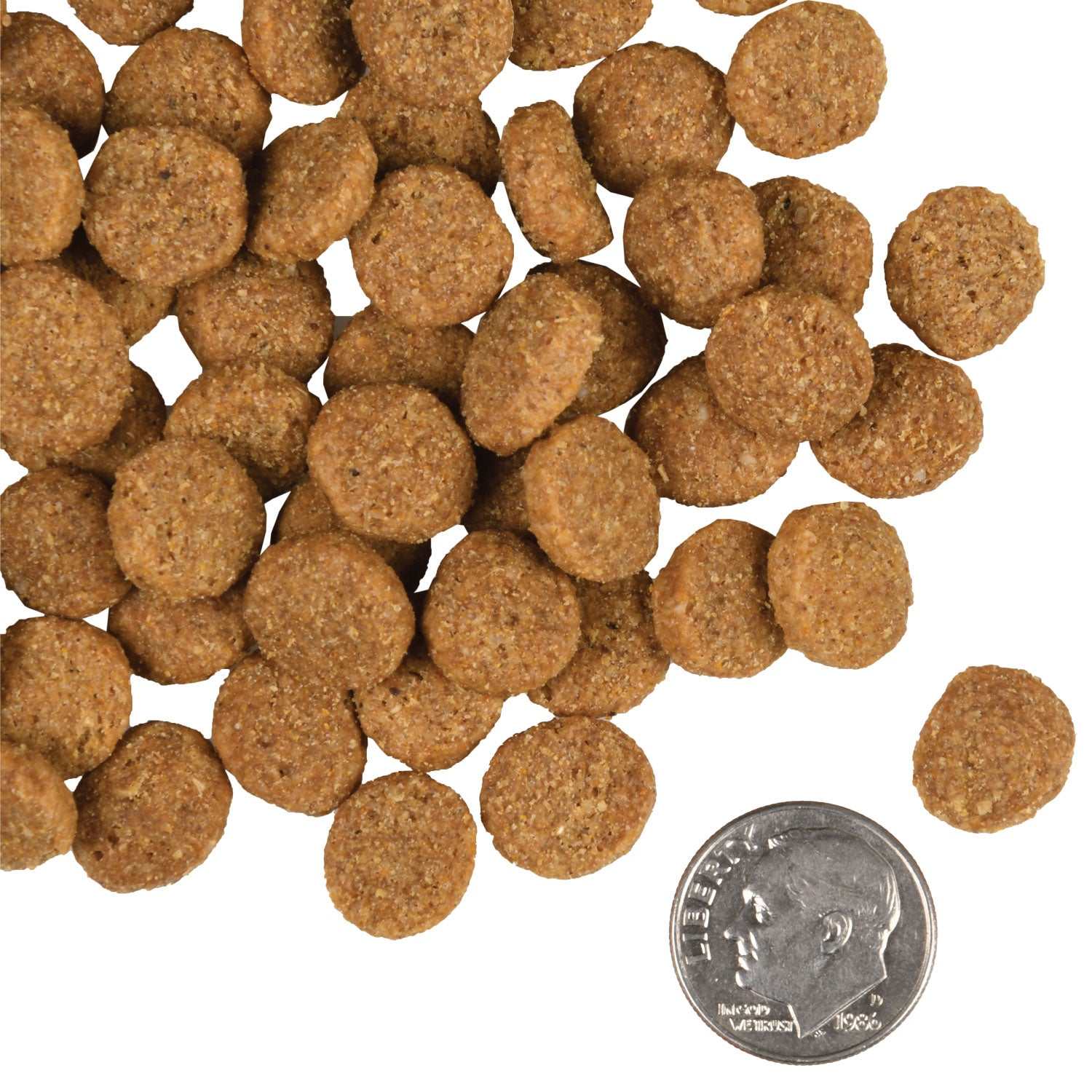 Gold Large Breed Adult dog food kibbles with US dime for size comparison