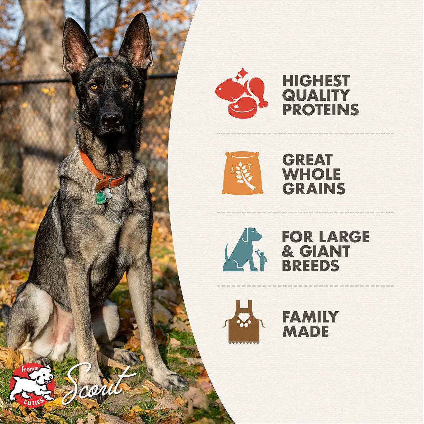 Large breed adult dog sitting outdoors next to a sign highlighting highest quality proteins, great whole grains, for large and giant breeds, and family made features for Gold Large Breed Adult dog food.