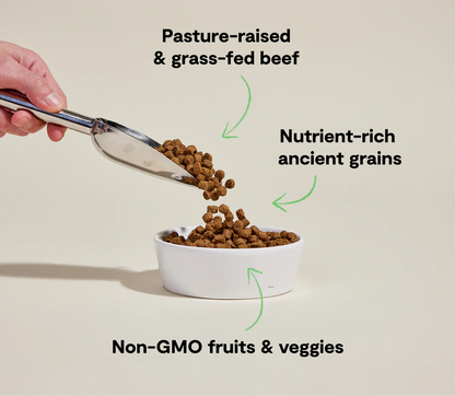 Grass-fed beef and ancient grain dog kibble with non-GMO fruits and veggies for adult dogs