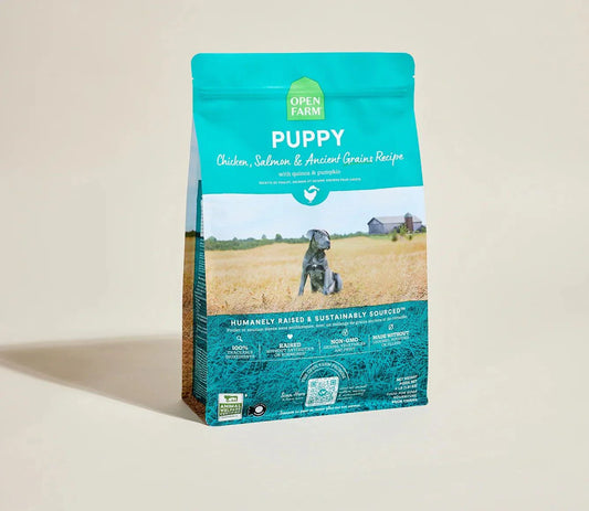 Ancient grains high-protein puppy food with chicken, salmon, and no peas or legumes