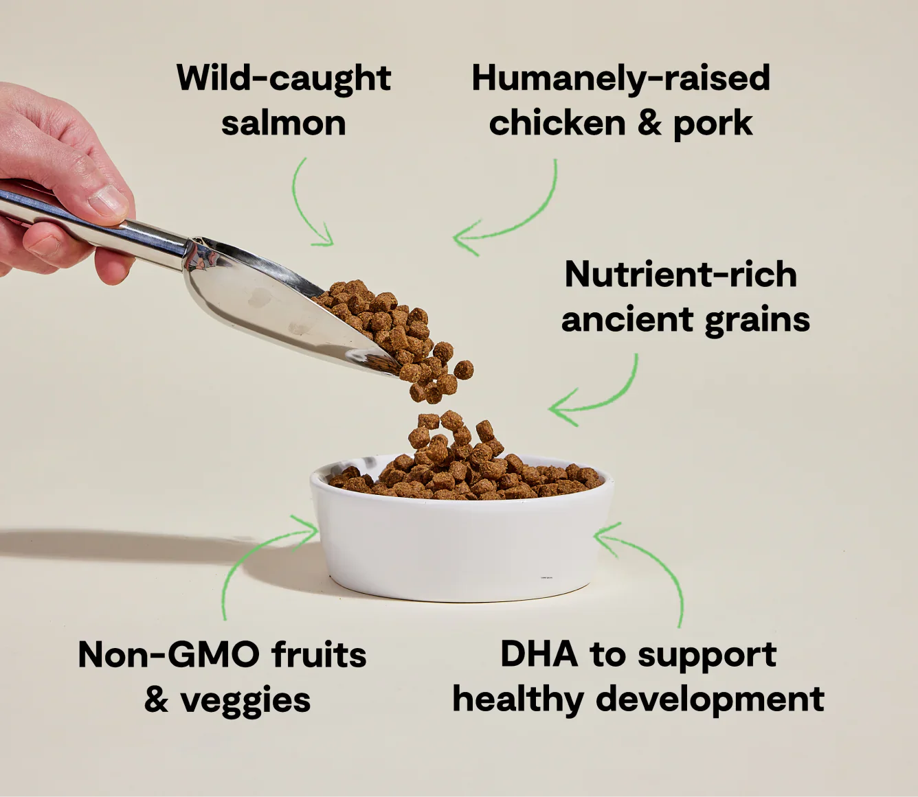 Ancient grains high-protein puppy food with wild-caught salmon, humanely-raised chicken, non-GMO fruits and veggies, and DHA for healthy development