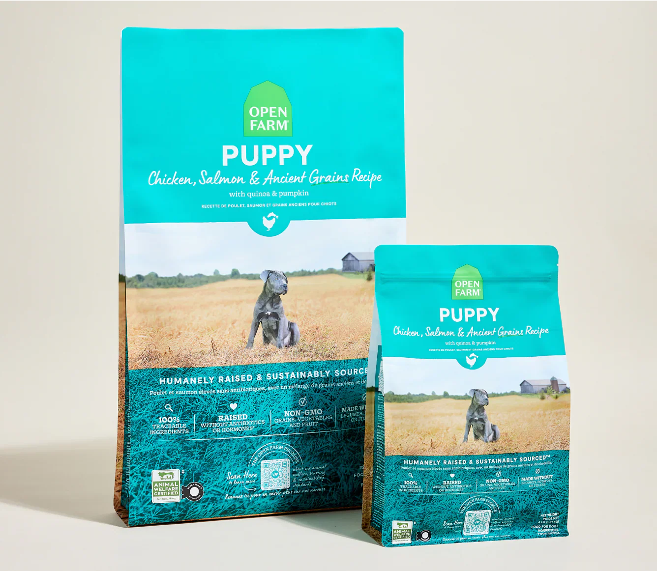 Ancient grains high-protein puppy food with chicken and salmon, sustainably sourced kibble for growing puppies