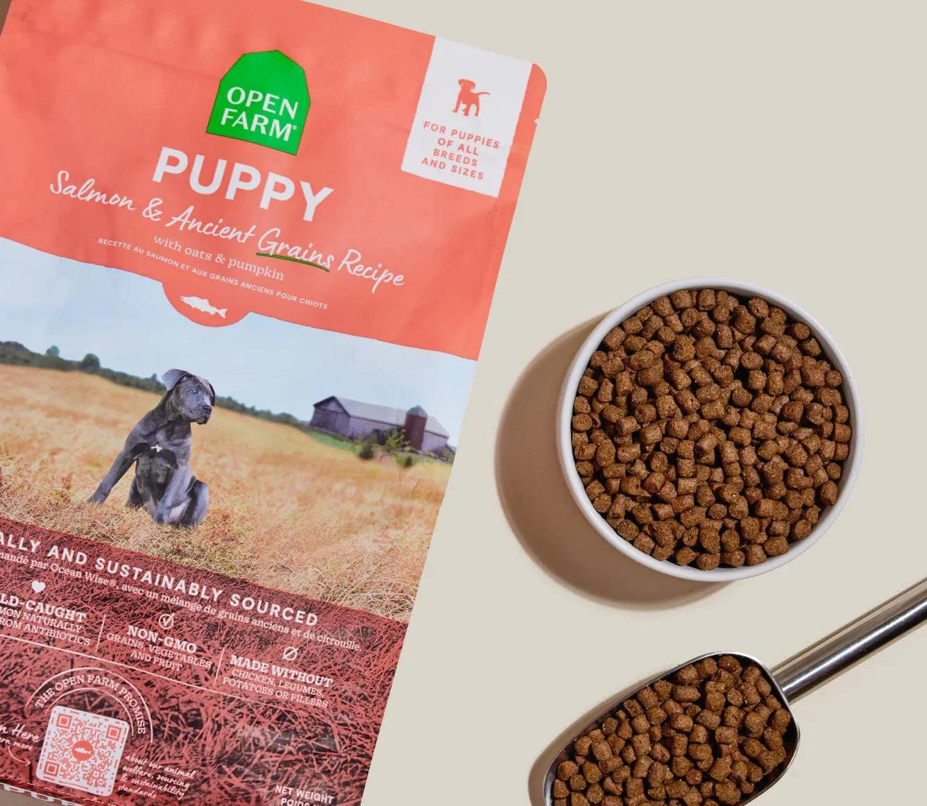 Puppy Salmon & Ancient Grain Recipe kibble bag with bowl and scoop filled with brown puppy food pellets